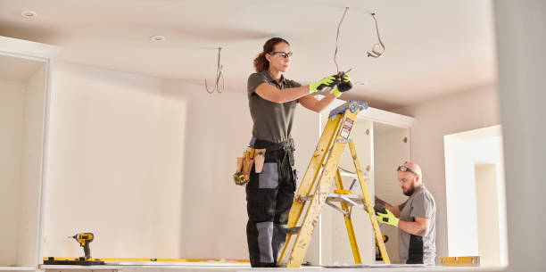 Best Outdoor Lighting Installation  in Apex, NC