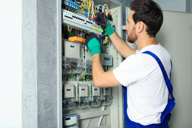Best Local Electrician Companies  in Apex, NC